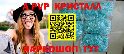 дмт Кингисепп