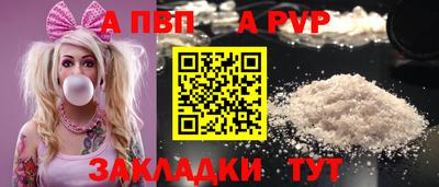 дмт Кингисепп