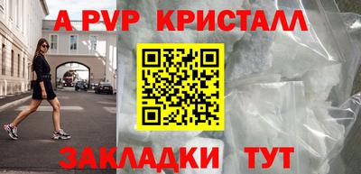 дмт Кингисепп