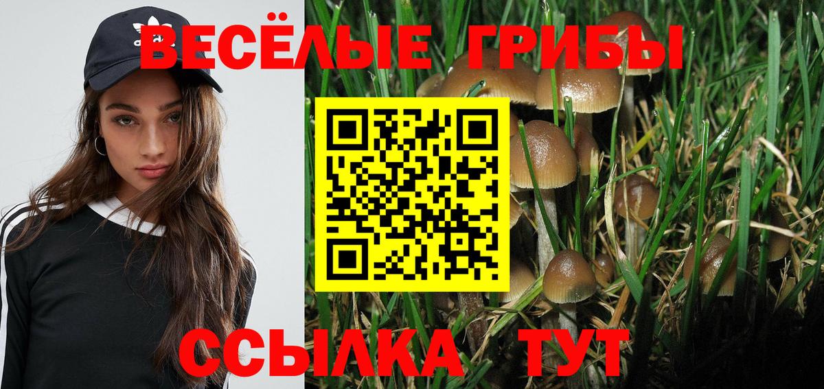 Краснодар  Псилоцибиновые грибы ЛСД  Вход с VPN 