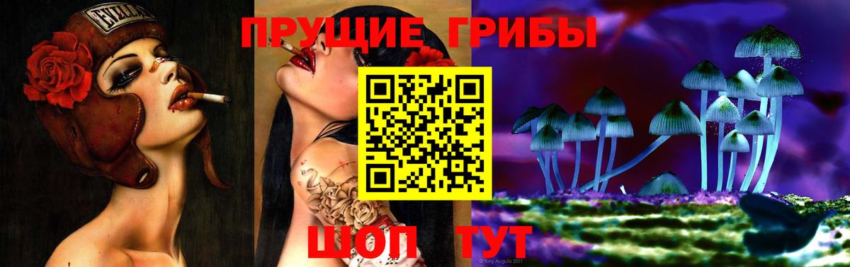 Галлюциногенные грибы GOLDEN TEACHER Краснодар